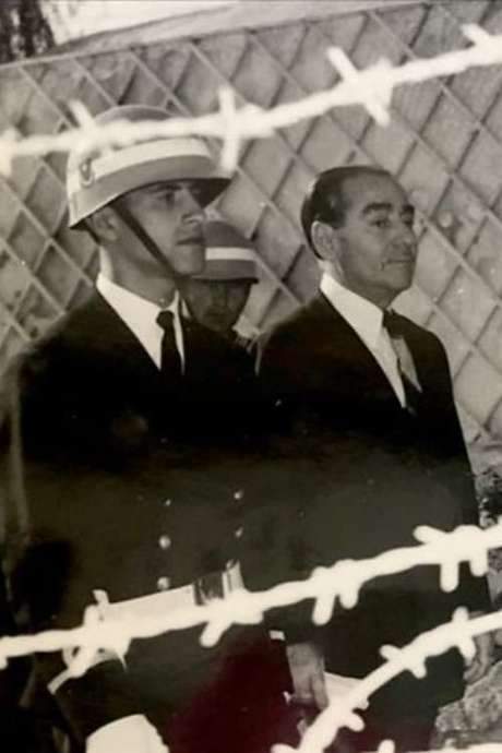 Demirkırat: Island